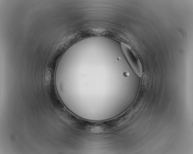 X0000114490412200911091053