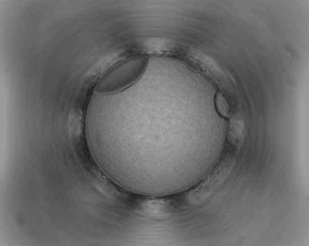 X0000114490413200911091053
