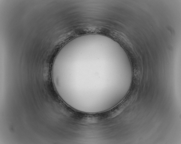 X0000114490416200911091053