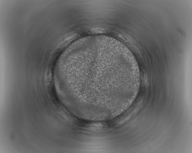 X0000114490418200911091053