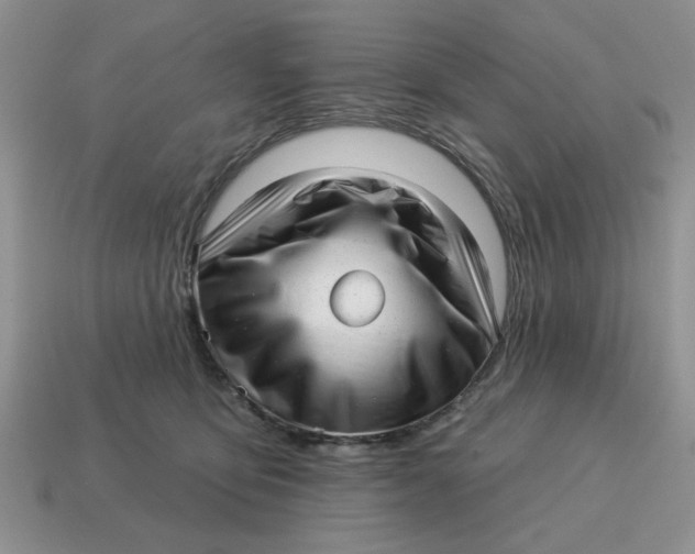 X0000114490419200911091053