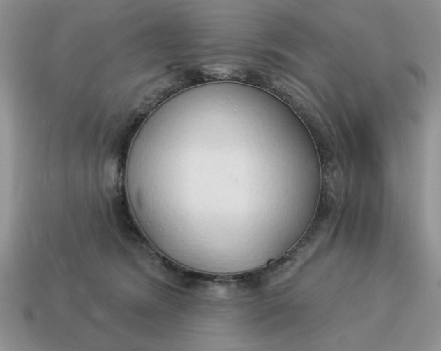 X0000114490420200911091053