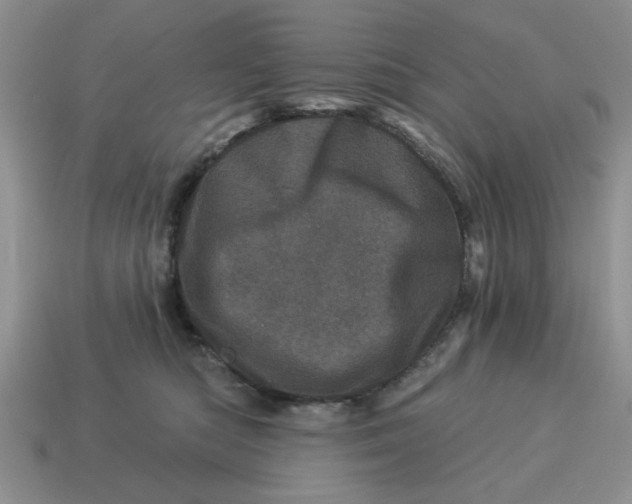 X0000114490422200911091053