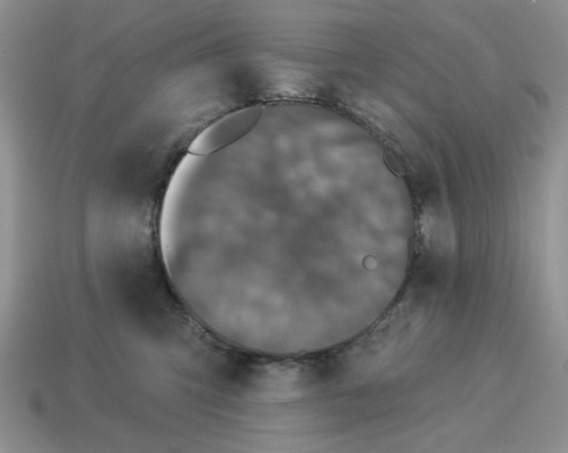X0000114490423200911091053