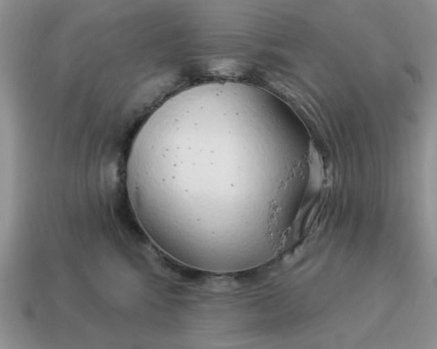 X0000114490424200911091053