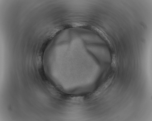 X0000114490426200911091053