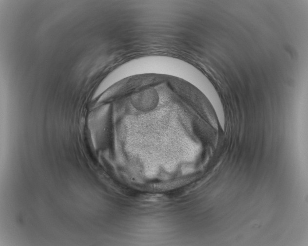 X0000114490427200911091053