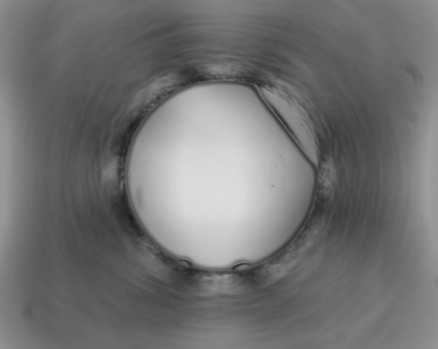 X0000114490428200911091052