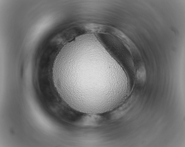 X0000114490429200911091052
