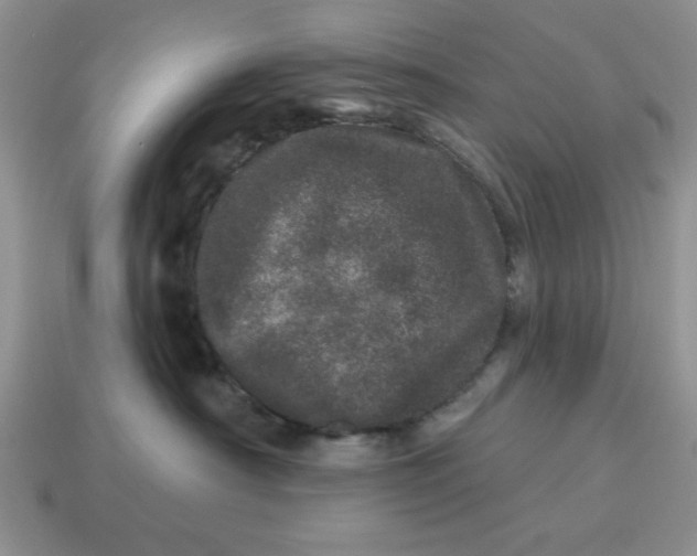 X0000114490430200911091052