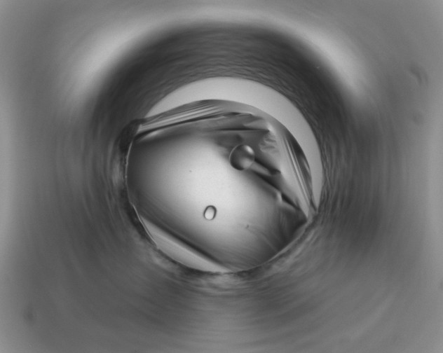 X0000114490431200911091052