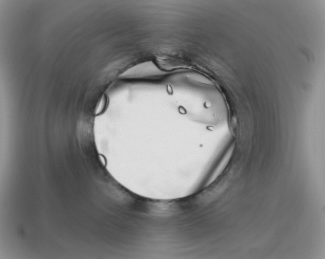 X0000114490432200911091052
