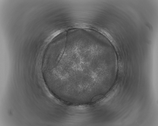 X0000114490433200911091052