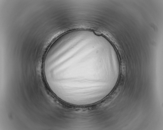 X0000114490434200911091052