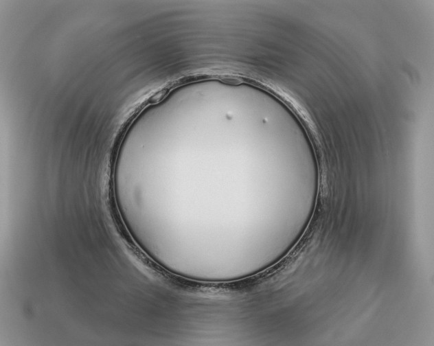 X0000114490437200911091052