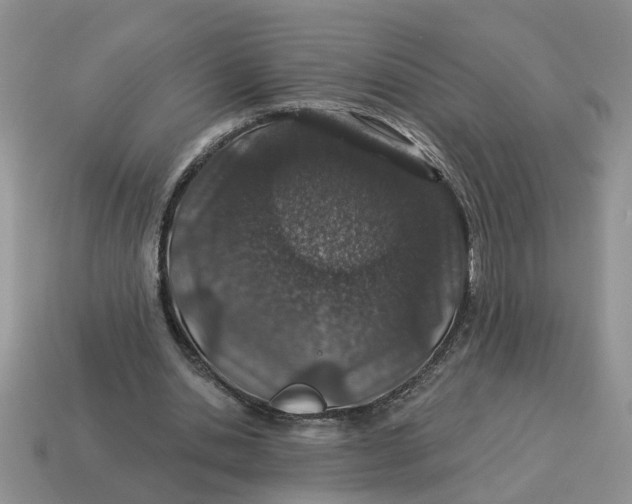 X0000114490438200911091052