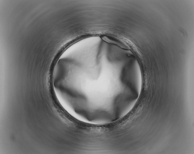 X0000114490439200911091052