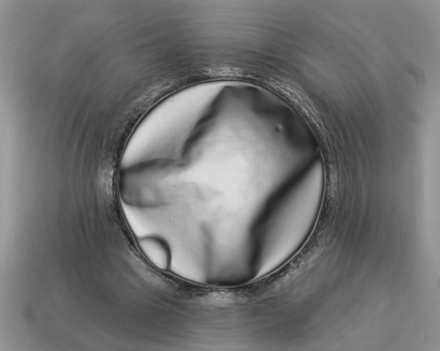 X0000114490441200911091052