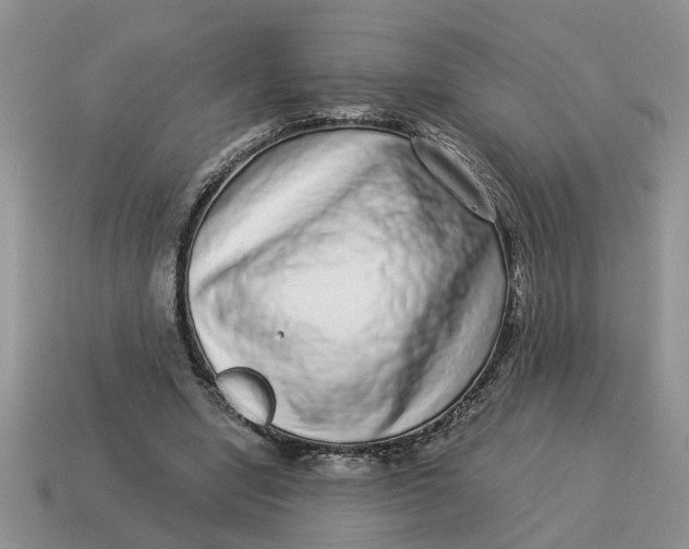 X0000114490442200911091052