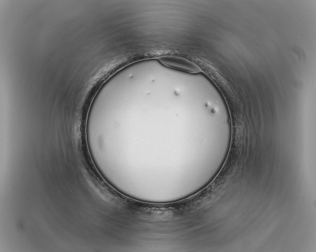 X0000114490443200911091052