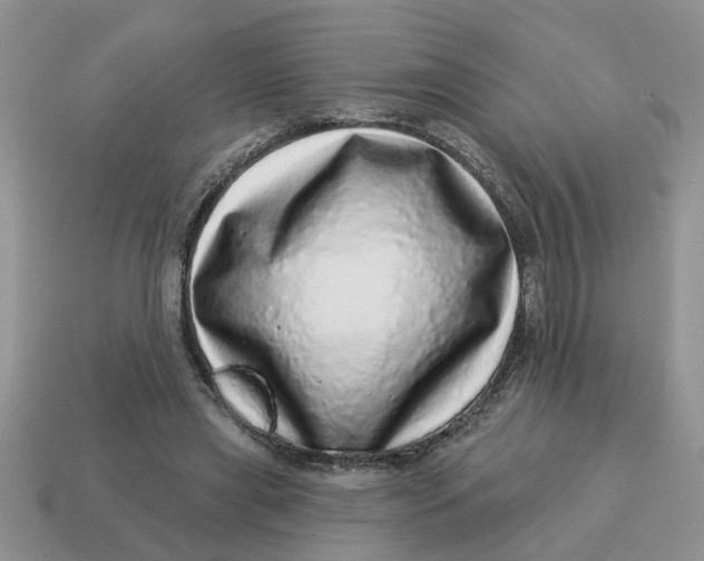 X0000114490445200911091052