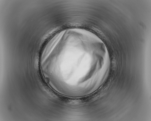 X0000114490446200911091052