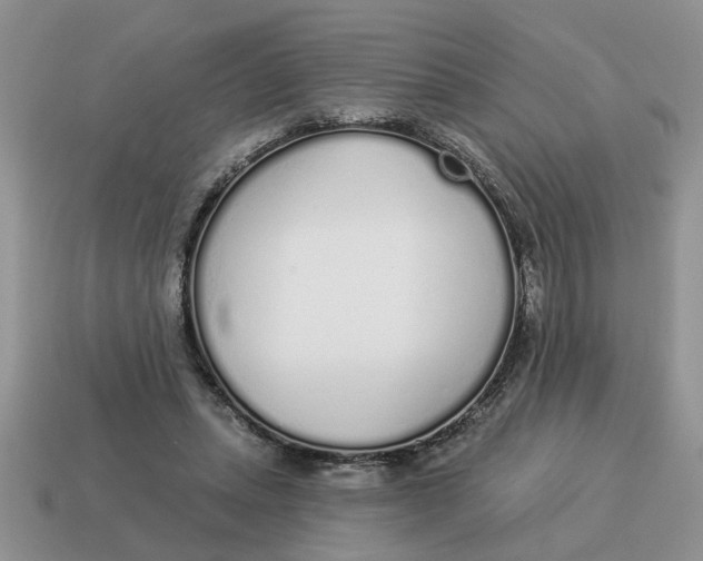 X0000114490447200911091052