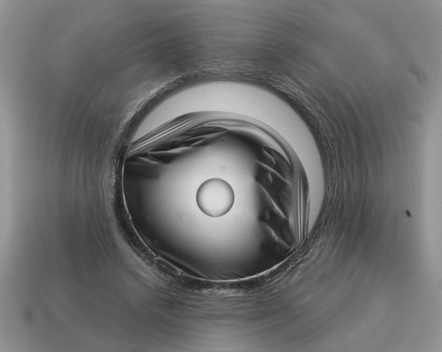 X0000114490448200911091052