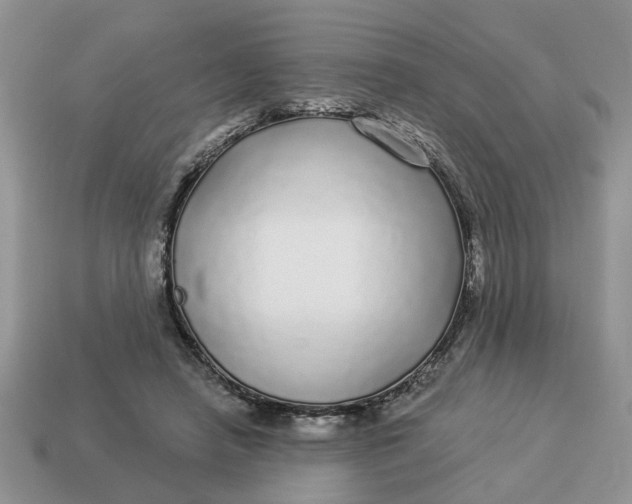 X0000114490450200911091052