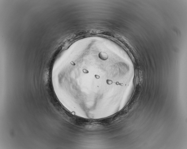 X0000114490451200911091052