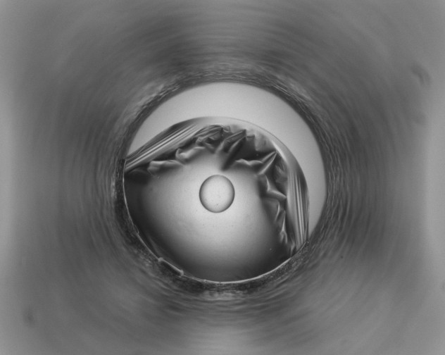 X0000114490452200911091052