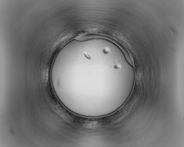X0000114490454200911091052
