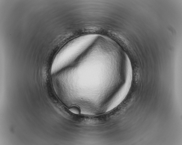 X0000114490455200911091052