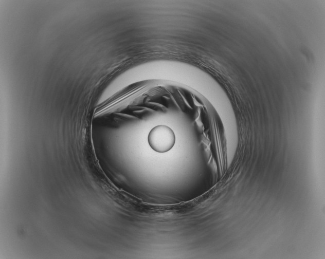 X0000114490456200911091052