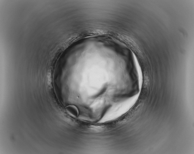 X0000114490457200911091052