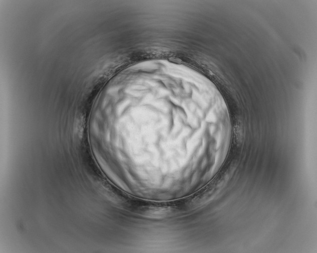 X0000114490458200911091052