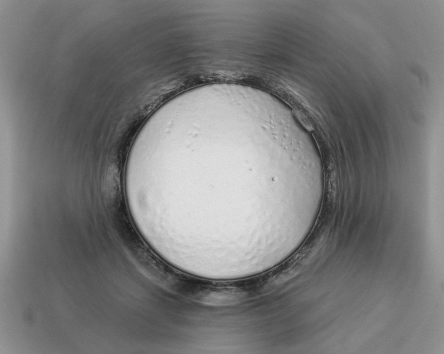 X0000114490459200911091052