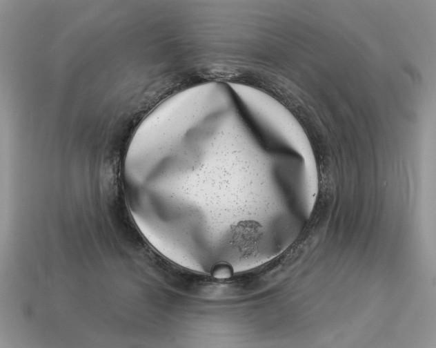 X0000114490460200911091052