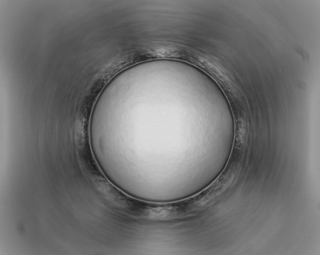 X0000114490461200911091052