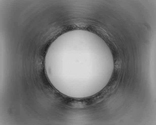 X0000114490464200911091052