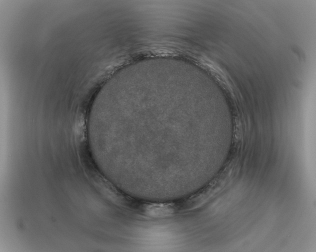 X0000114490465200911091052