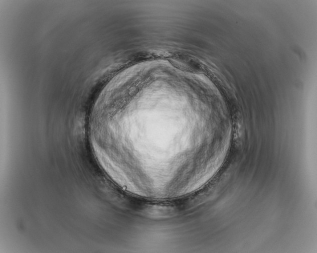X0000114490466200911091052