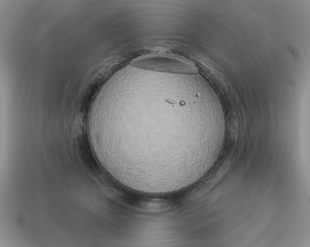 X0000114490467200911091052