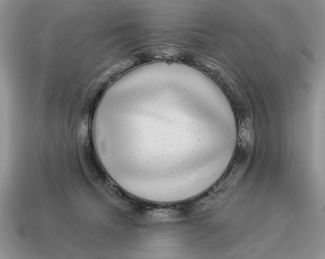 X0000114490468200911091052