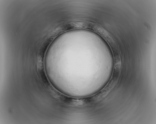 X0000114490469200911091052