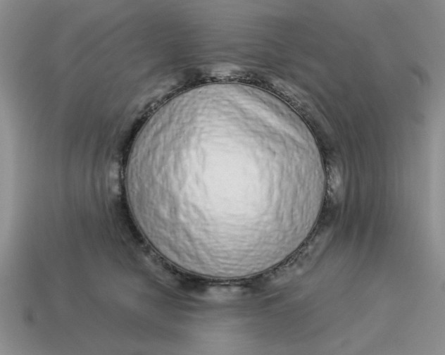 X0000114490470200911091052