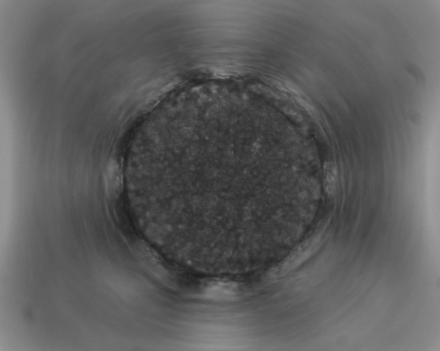 X0000114490471200911091052
