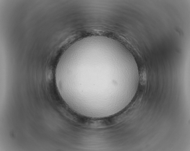 X0000114490472200911091052