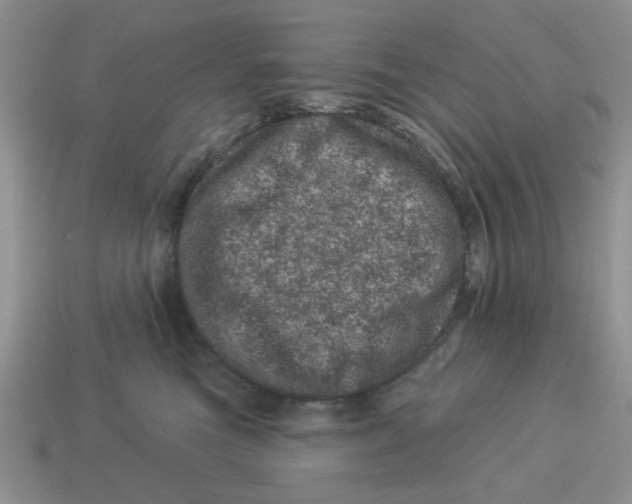 X0000114490473200911091052
