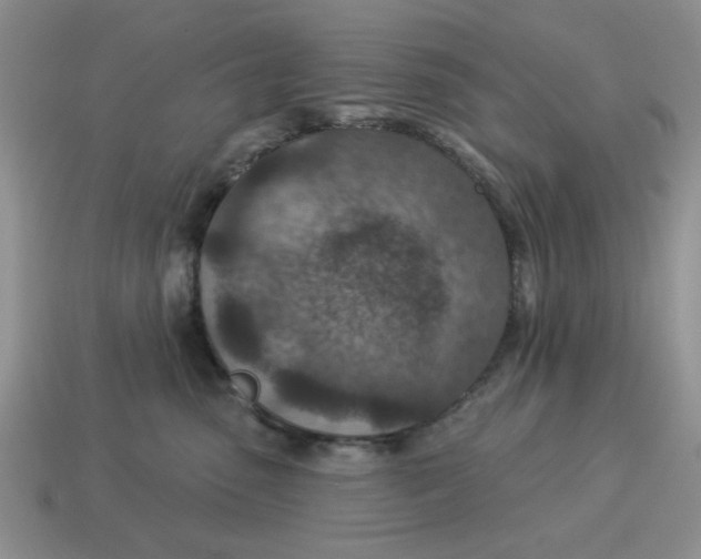 X0000114490475200911091052